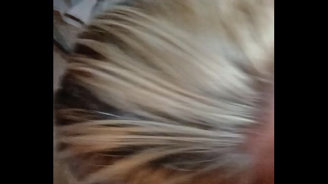 POV Blowjob Perfection